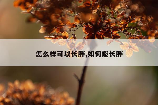 怎么样可以长胖,如何能长胖