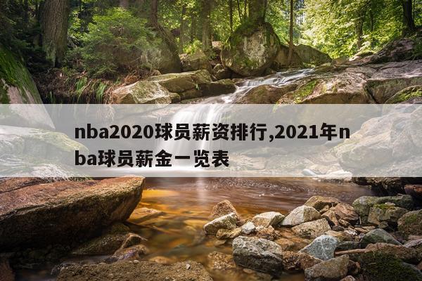 nba2020球员薪资排行,2021年nba球员薪金一览表