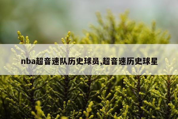 nba超音速队历史球员,超音速历史球星