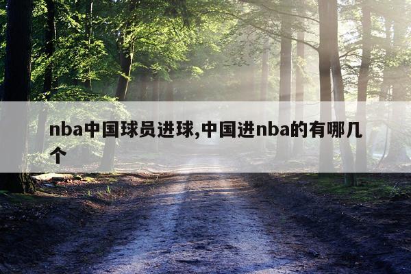 nba中国球员进球,中国进nba的有哪几个