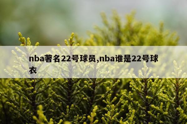 nba著名22号球员,nba谁是22号球衣