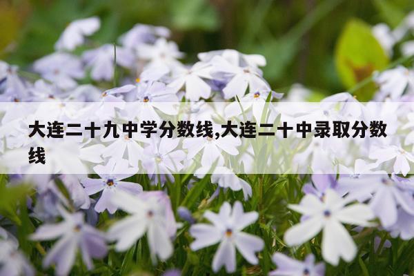 大连二十九中学分数线,大连二十中录取分数线