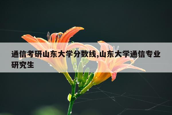通信考研山东大学分数线,山东大学通信专业研究生