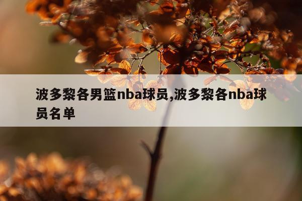 波多黎各男篮nba球员,波多黎各nba球员名单
