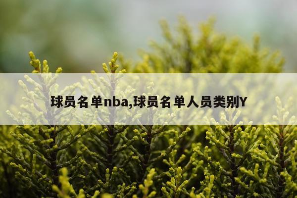 球员名单nba,球员名单人员类别Y