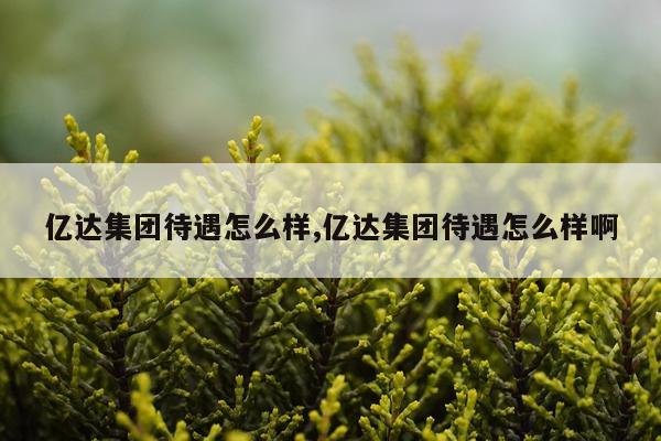 亿达集团待遇怎么样,亿达集团待遇怎么样啊