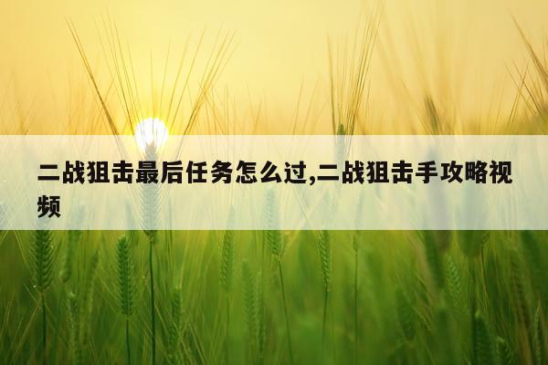 二战狙击最后任务怎么过,二战狙击手攻略视频