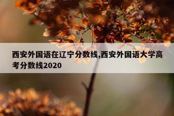 西安外国语在辽宁分数线,西安外国语大学高考分数线2020