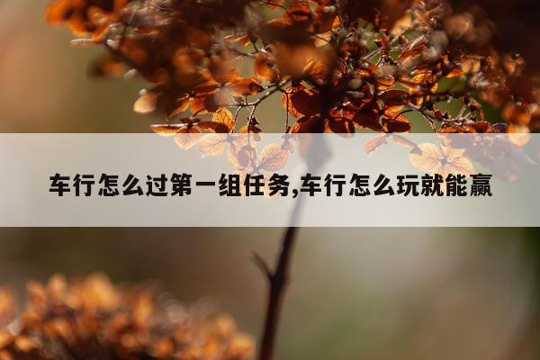 车行怎么过第一组任务,车行怎么玩就能赢