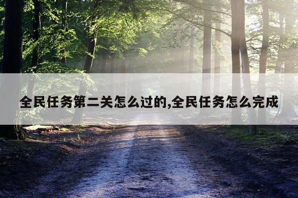 全民任务第二关怎么过的,全民任务怎么完成
