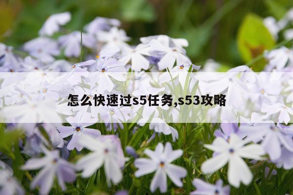 怎么快速过s5任务,s53攻略