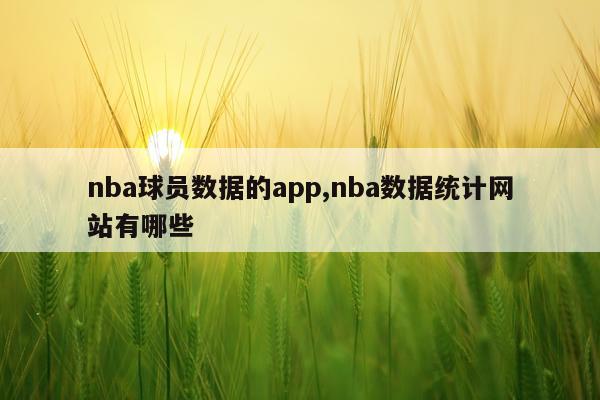 nba球员数据的app,nba数据统计网站有哪些