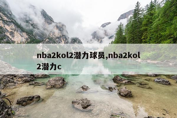 nba2kol2潜力球员,nba2kol2潜力c