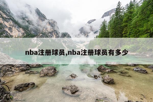 nba注册球员,nba注册球员有多少