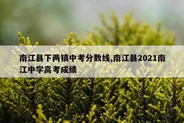 南江县下两镇中考分数线,南江县2021南江中学高考成绩