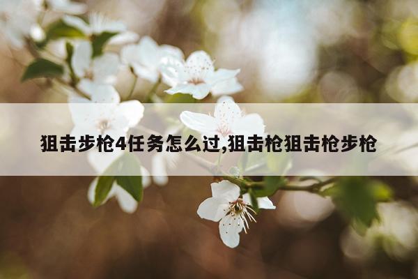 狙击步枪4任务怎么过,狙击枪狙击枪步枪