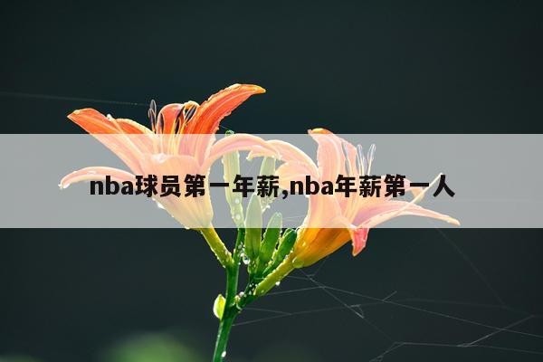 nba球员第一年薪,nba年薪第一人