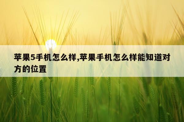 苹果5手机怎么样,苹果手机怎么样能知道对方的位置
