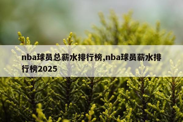 nba球员总薪水排行榜,nba球员薪水排行榜2025