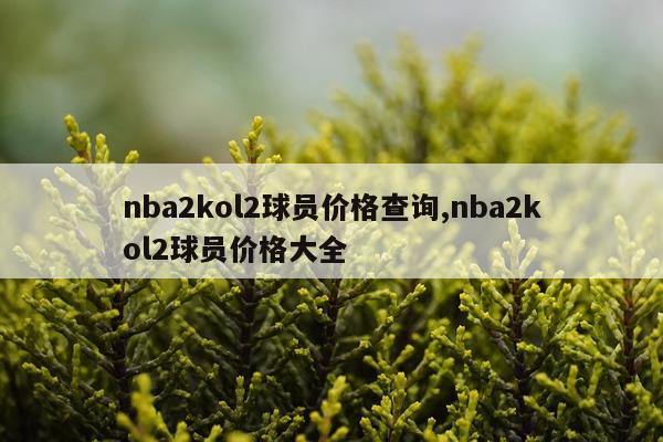 nba2kol2球员价格查询,nba2kol2球员价格大全