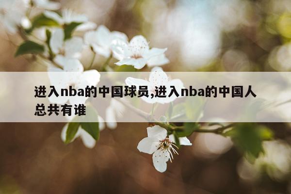 进入nba的中国球员,进入nba的中国人总共有谁