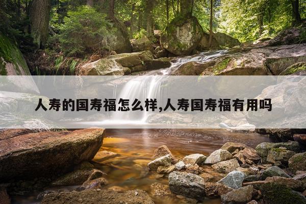 人寿的国寿福怎么样,人寿国寿福有用吗