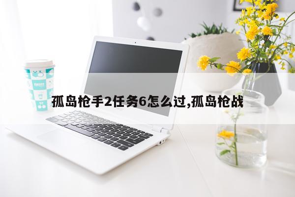 孤岛枪手2任务6怎么过,孤岛枪战