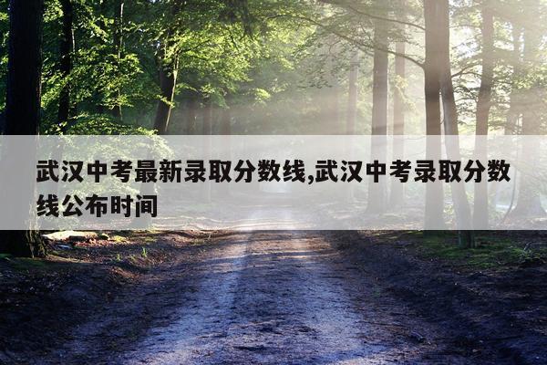 武汉中考最新录取分数线,武汉中考录取分数线公布时间