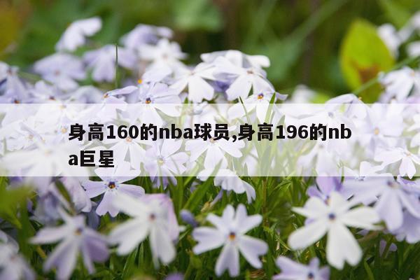 身高160的nba球员,身高196的nba巨星