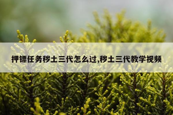 押镖任务秽土三代怎么过,秽土三代教学视频