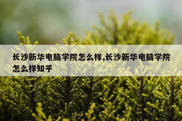 长沙新华电脑学院怎么样,长沙新华电脑学院怎么样知乎