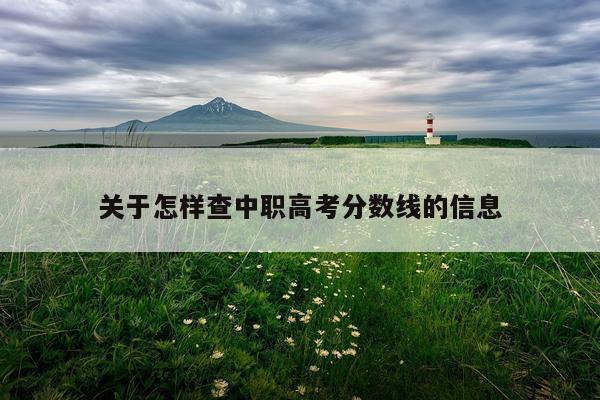 关于怎样查中职高考分数线的信息