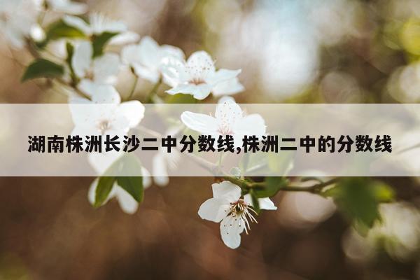 湖南株洲长沙二中分数线,株洲二中的分数线