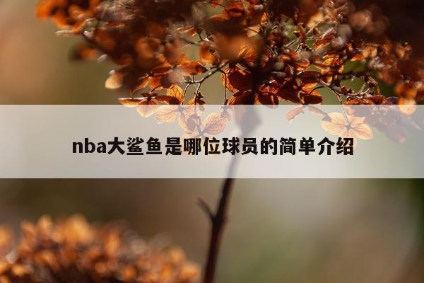 nba大鲨鱼是哪位球员的简单介绍