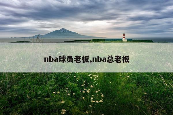 nba球员老板,nba总老板