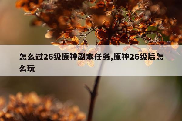 怎么过26级原神副本任务,原神26级后怎么玩