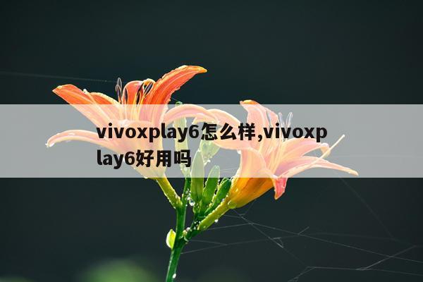 vivoxplay6怎么样,vivoxplay6好用吗
