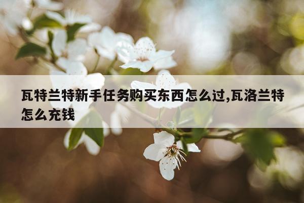 瓦特兰特新手任务购买东西怎么过,瓦洛兰特怎么充钱